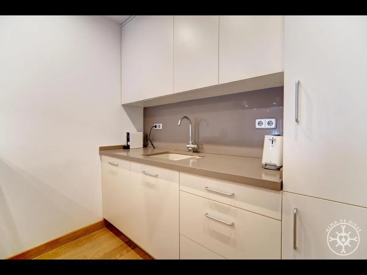 Eth Paum De Alma De Nieve Apartment Salardu